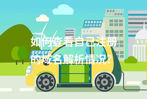 如何查看自己注册的域名解析情况?