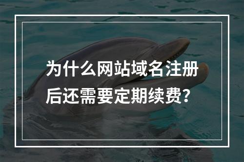 为什么网站域名注册后还需要定期续费?