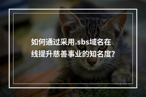 如何通过采用.sbs域名在线提升慈善事业的知名度?