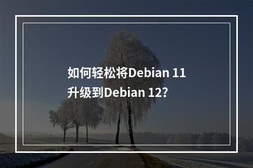 如何轻松将Debian 11升级到Debian 12?