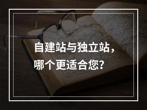 自建站与独立站,哪个更适合您?