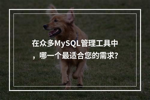 在众多MySQL管理工具中,哪一个最适合您的需求?