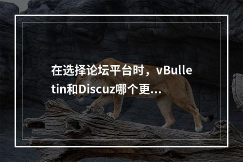 在选择论坛平台时,vBulletin和Discuz哪个更符合您的需求?
