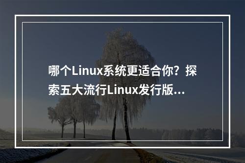 哪个Linux系统更适合你?探索五大流行Linux发行版的特点