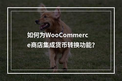如何为WooCommerce商店集成货币转换功能?