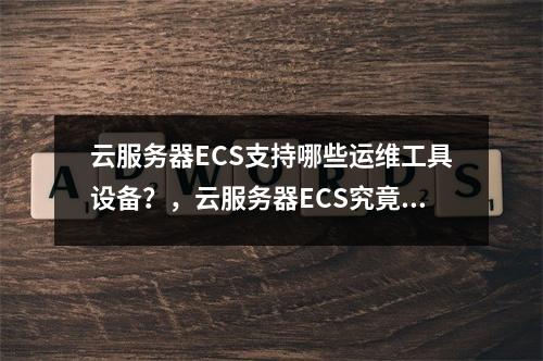 云服务器ECS支持哪些运维工具设备?,云服务器ECS究竟兼容哪些运维工具与设备?