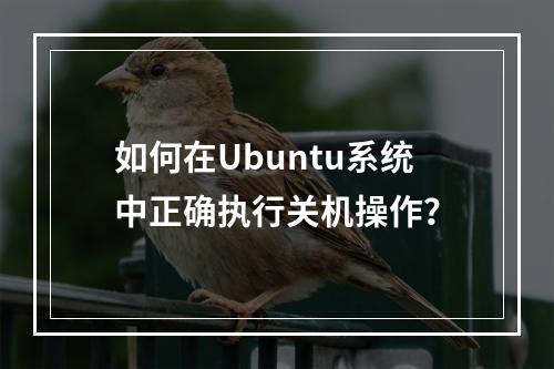 如何在Ubuntu系统中正确执行关机操作?