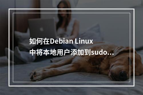 如何在Debian Linux中将本地用户添加到sudo组?