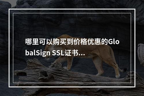 哪里可以购买到价格优惠的GlobalSign SSL证书?