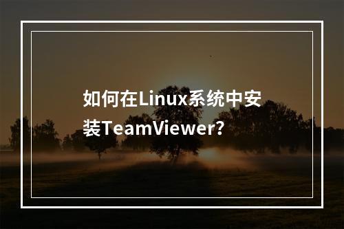 如何在Linux系统中安装TeamViewer?