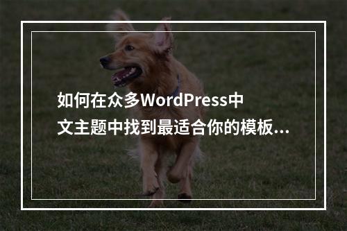 如何在众多WordPress中文主题中找到最适合你的模板?