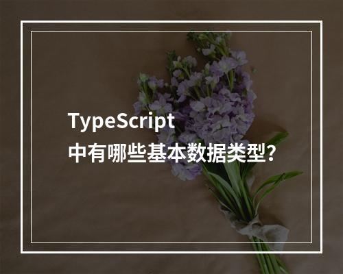 TypeScript 中有哪些基本数据类型?