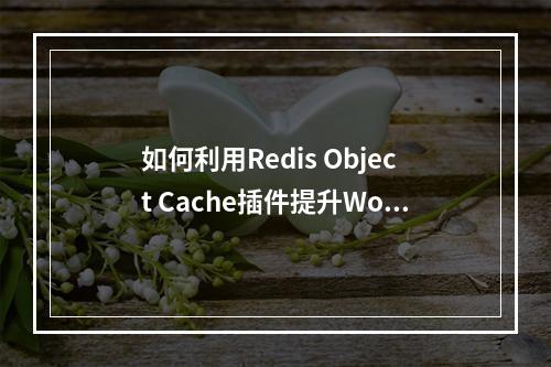 如何利用Redis Object Cache插件提升WordPress网站的加载速度?