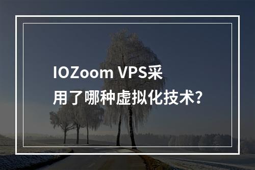 IOZoom VPS采用了哪种虚拟化技术?