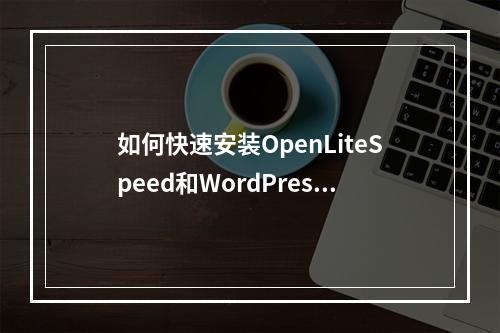 如何快速安装OpenLiteSpeed和WordPress?
