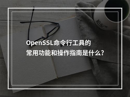 OpenSSL命令行工具的常用功能和操作指南是什么?
