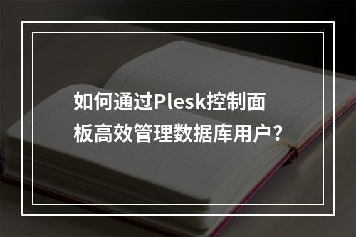 如何通过Plesk控制面板高效管理数据库用户?
