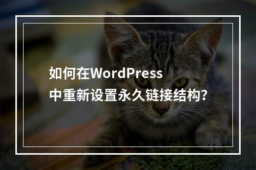 如何在WordPress中重新设置永久链接结构?
