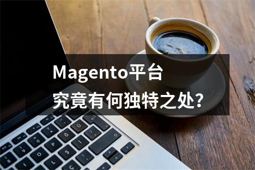 Magento平台究竟有何独特之处?