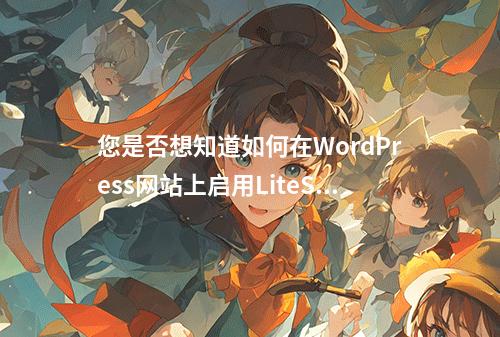 您是否想知道如何在WordPress网站上启用LiteSpeed缓存功能?