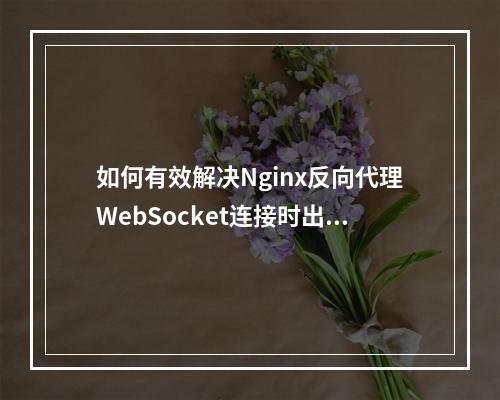 如何有效解决Nginx反向代理WebSocket连接时出现的错误?