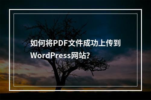 如何将PDF文件成功上传到WordPress网站?