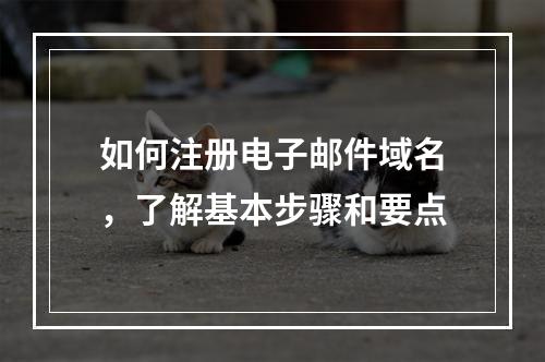 如何注册电子邮件域名,了解基本步骤和要点