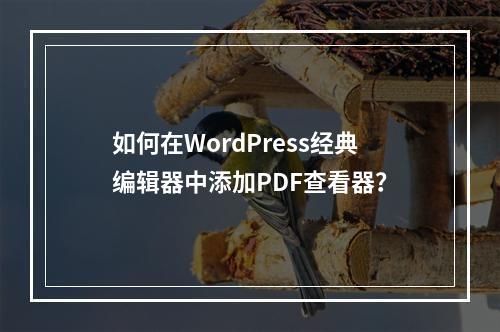 如何在WordPress经典编辑器中添加PDF查看器?
