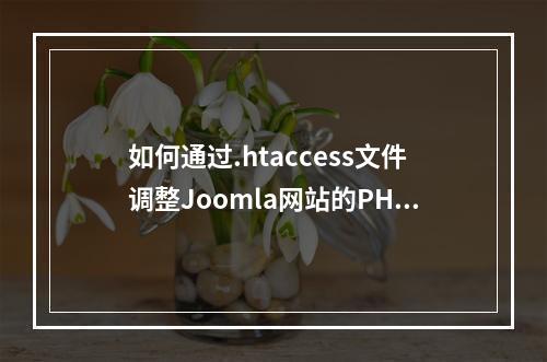 如何通过.htaccess文件调整Joomla网站的PHP设置?