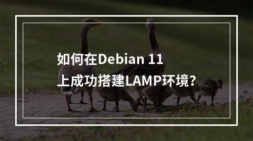 如何在Debian 11上成功搭建LAMP环境?