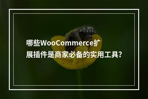 哪些WooCommerce扩展插件是商家必备的实用工具?