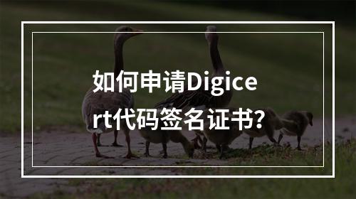 如何申请Digicert代码签名证书?