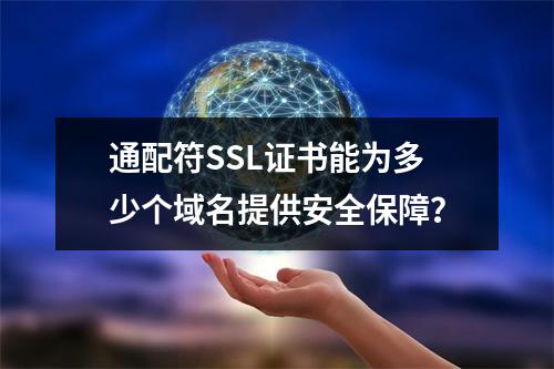 通配符SSL证书能为多少个域名提供安全保障?