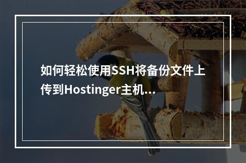 如何轻松使用SSH将备份文件上传到Hostinger主机?