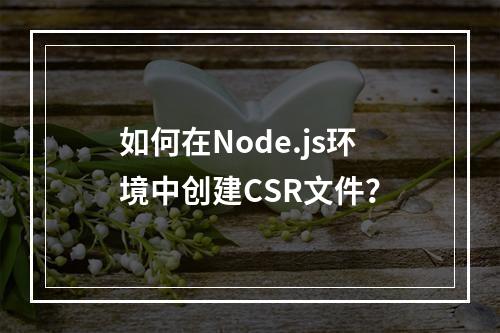 如何在Node.js环境中创建CSR文件?