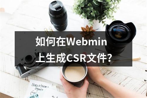 如何在Webmin上生成CSR文件?