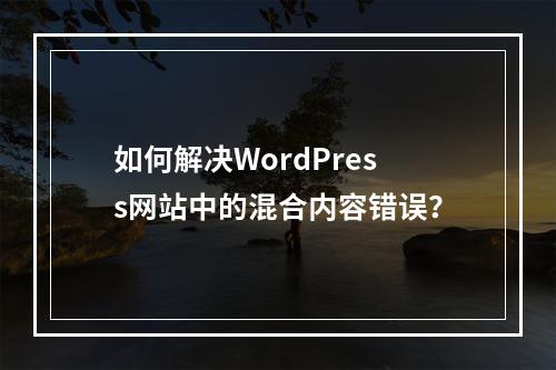 如何解决WordPress网站中的混合内容错误?