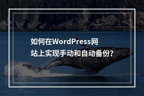如何在WordPress网站上实现手动和自动备份?
