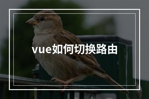 vue如何切换路由