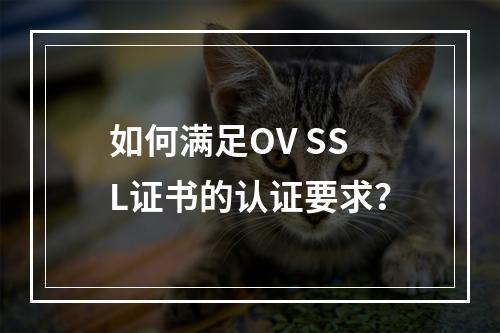 如何满足OV SSL证书的认证要求?
