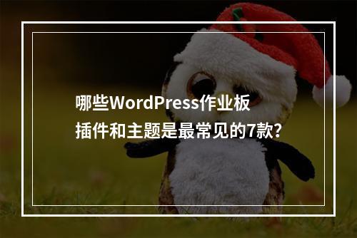 哪些WordPress作业板插件和主题是最常见的7款?