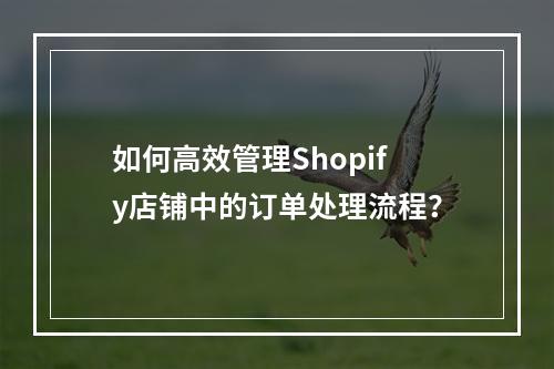 如何高效管理Shopify店铺中的订单处理流程?