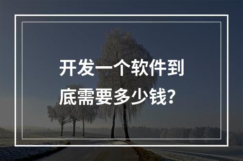 开发一个软件到底需要多少钱?