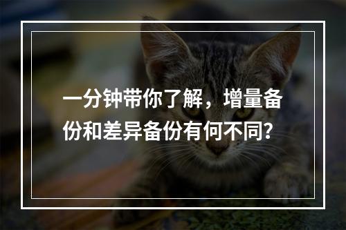 一分钟带你了解,增量备份和差异备份有何不同?