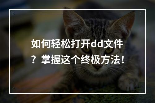 如何轻松打开dd文件?掌握这个终极方法!