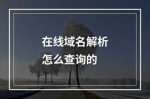 在线域名解析怎么查询的