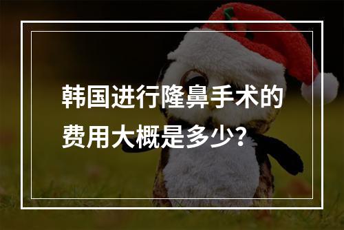 韩国进行隆鼻手术的费用大概是多少?