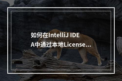 如何在IntelliJ IDEA中通过本地License Server进行授权?