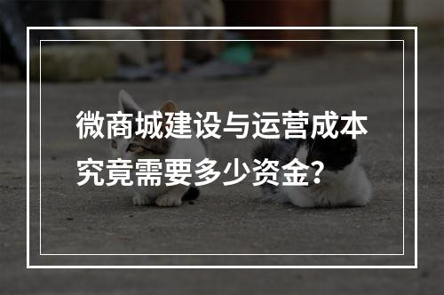 微商城建设与运营成本究竟需要多少资金?