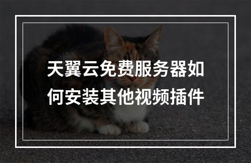 天翼云免费服务器如何安装其他视频插件